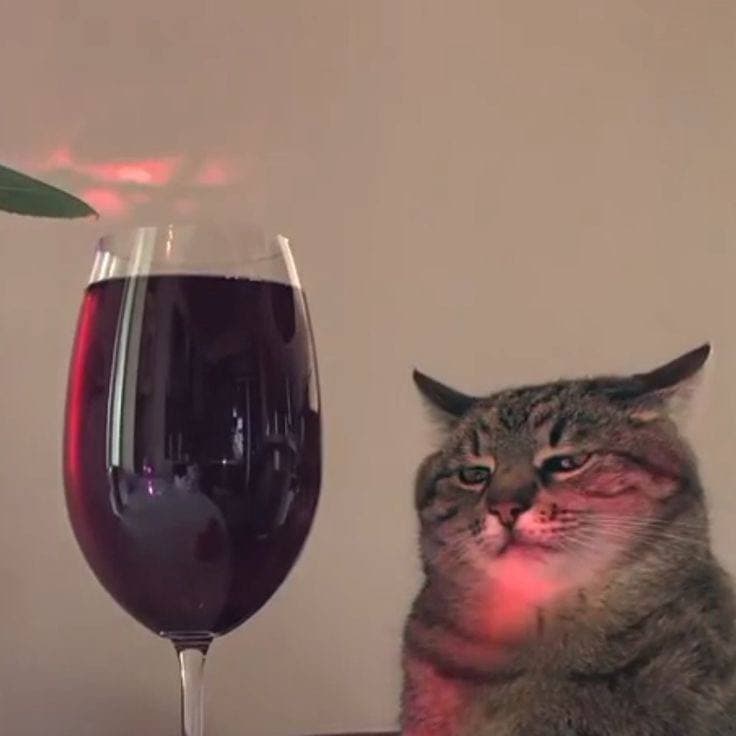 PremierMed — noul tău centru medical din Chișinău